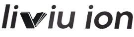 Liviu Ion